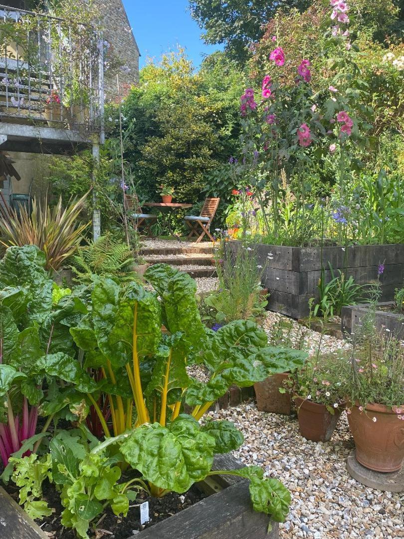 Apartament Bentley Rise Lyme Regis Zewnętrze zdjęcie